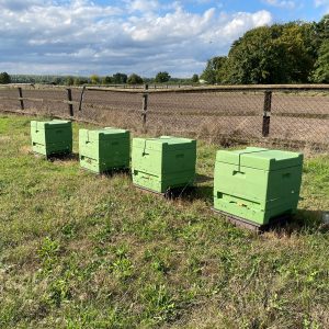 Bienenkästen